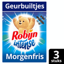 Robijn Intense morgenfris geurbuiltjes - 3 wasbeurten